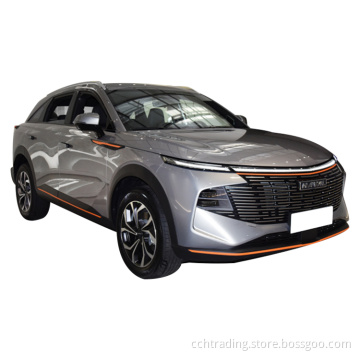 Haval Beast 5 Passenger Auto chiusa a buon mercato